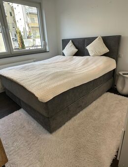 Boxspringbett - Koblenz