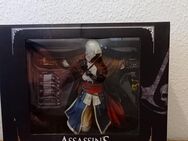 Assassins Creed Black Flag Edward Kenway: The Assassins Pirate - Kyritz