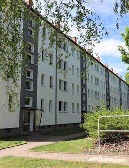 Kein Hokuspokus! Halbes Jahr-halbe (Kalt)Miete - Chemnitz