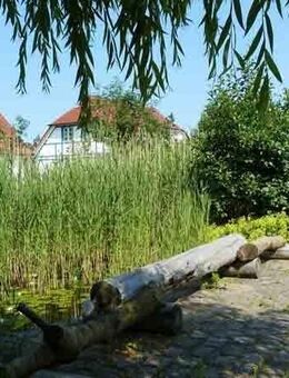 Insel Rügen - provisionsfrei ! Ferienhaus nahe Strand - Dranske