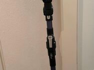 Rowenta RH9639 X-Force 8.60 - Rodewisch