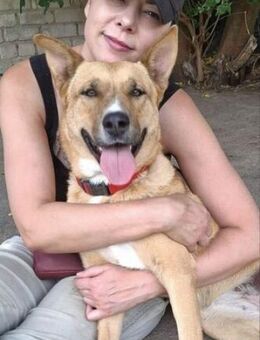 Wundervolle Bella - Berlin