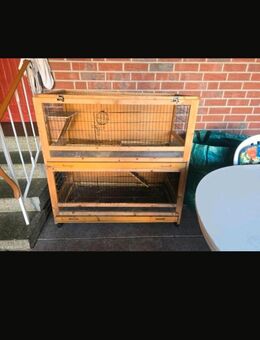 Kleintier Stall Abzugeben - Verl