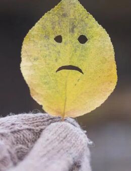 Herbstdepression gemeinsam ertragen - Kassel Vorderer Westen