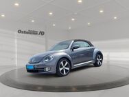 VW Beetle, 1.6 TDI Cabriolet Cup 18, Jahr 2014 - Hofgeismar