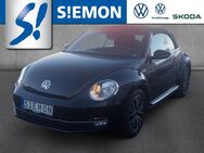 VW Beetle, 1.2 TSI Allstar Cabrio, Jahr 2016 - Emsdetten