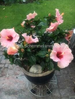 Rohdiamant in Treuchtlingen - Dachterrasse - Barrierefrei - Lift - Treuchtlingen