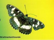 BRD: MiNr. SDJ-MH (MiNr. 1514), 00.00.1991, Markenheftchen der Stiftung Deutsche Jugendmarke "Jugend: Schmetterlinge", postfrisch - Brandenburg (Havel)