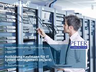 Ausbildung Kaufmann für IT System-Management (m/w/d) - Aschaffenburg