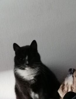 Helga sucht leider Einzelplatz VB 250€ - Haltern (See)