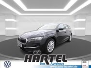 Skoda Octavia, 2.0 TDI Combi SELECTION ( RA, Jahr 2024 - Osnabrück