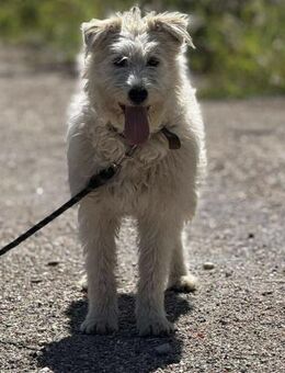 Menschenbezogene hübsche RINA sucht ♥️ - München