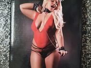 3 tlg Body Set in Rot/Schwarz Gr. XL - Espenau