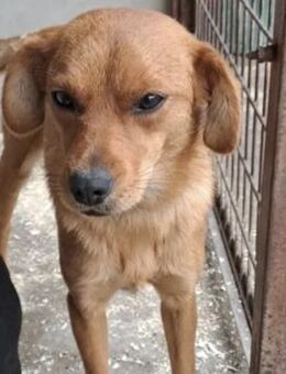 FENNA - SANFTE SEELE - Nörten-Hardenberg