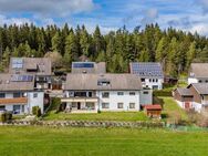 Charmante Souterrainwohnung mit Schwarzwaldblick - Eisenbach (Schwarzwald)
