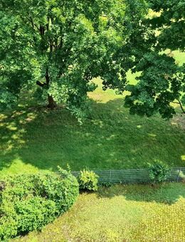 1 Zi. Wohnung mit Blick ins Grüne in Wolfgang - Hanau (Brüder-Grimm-Stadt)