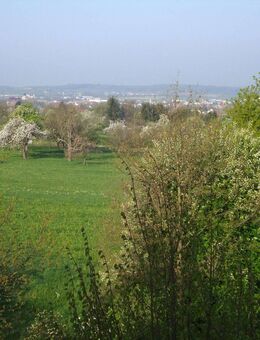 Ruhige Wohnung mit Sonnenbalkon - Kirchheim (Teck)