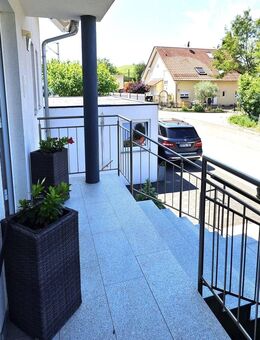 SCHALLSTADT - TOP OBJEKT - sehr schöne, exklusive und massivgebaute Doppelhaushälfte - Freiburg (Breisgau)
