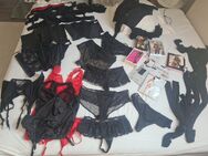 Dessous Sammlung Damen Gr. 44 Plussize mit hohem Neuwert - Bremen