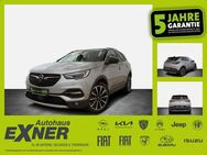 Opel Grandland X 1.2 Turbo ULTIMATE Leder, Navi, DAB - Hof