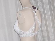 Push-up, Neu, Gr. 70 D - Worms