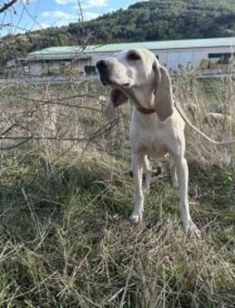 Fiona - eine leise Seele mit ganz großem - Eixen