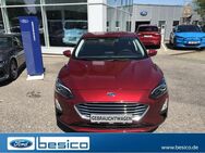 Ford Focus, Titanium Winter Paket, Jahr 2020 - Glauchau