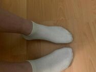 Verkaufe meine getragenen Socken - Winsen (Luhe)