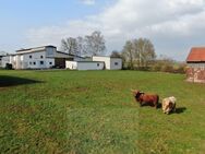Aussiedlerhof/Bauernhof auf großem Grundstück in ruhiger Alleinlage - Wolfhagen