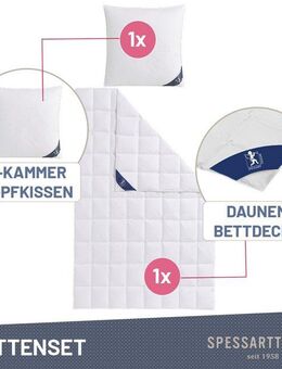 SPESSARTTRAUM Gänsedaunenbettdecke + Kopfkissen Premium******, Füllung: Bettdecke: 100% Gänsedaunen, Klasse 1, Downpass zertifiziert, Bezug: 100% Baumwolle, Made in Green, Hausstauballergiker geeignet, Sparset: 4 Wärmeklassen, 135x200 cm & 155x220 cm