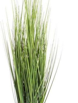 Kunstgras Gras Festuca Gras, Botanic-Haus, Höhe 86 cm
