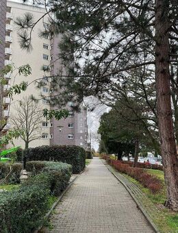 EINZIEHEN UND SICH WOHLFÜHLEN - Hemmingen (Baden-Württemberg)