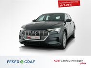 Audi e-tron, 55 quattro V, Jahr 2019 - Nürnberg