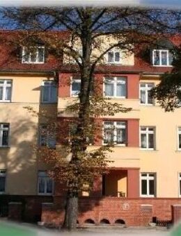 Singlewohnung über den Dächern von Schönebeck/Bad Salzelmen - Schönebeck (Elbe)