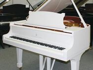 Flügel Klavier Steinway & Sons S-155 weiß poliert, 5 Jahre Garantie - Egestorf