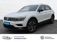 VW Tiguan, 2.0 l TDI IQ DRIVE, Jahr 2020 - Artern (Unstrut)