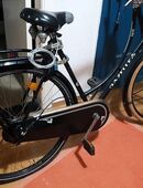 Original "Gazelle" Groß in 28239