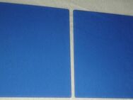 020 Zwei blaue Scheiben für Halogen-PAR 220 x 200 x 3mm  020 - Lüdenscheid