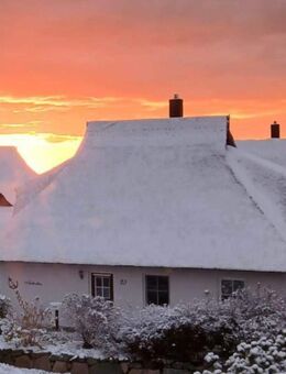 ERDWÄRME & KAMIN & SAUNA ...FERIENHAUS UNTER REET AM ACHTERWASSER - Zinnowitz