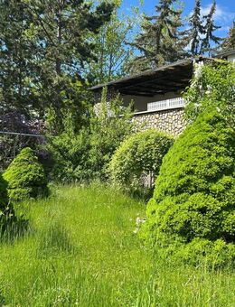 Ein Haus mit Potenzial in Bad Sulza - Bad Sulza Auerstedt