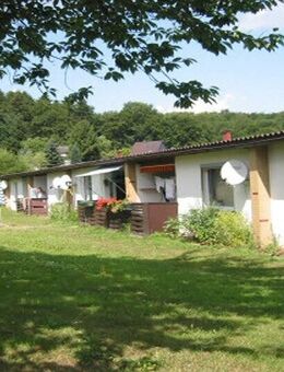 2-Zimmer-Wohnung im Bungalowstil mit sonniger Terrasse - Delligsen