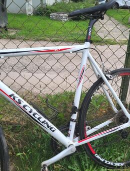 KS CYCLING Mountainbike 21 Gang Shimano Tourney Schaltwerk, für Herren, - Vellahn