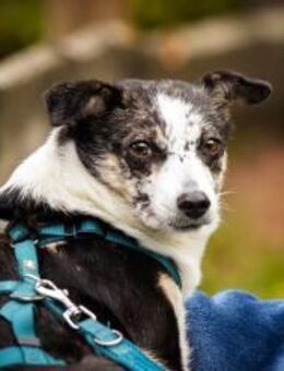 Yori - die Entdeckerin - Elsdorf (Nordrhein-Westfalen)