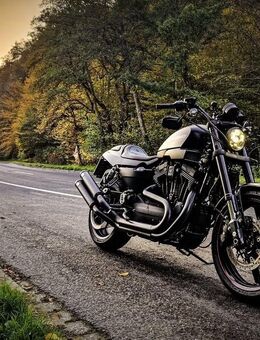 Harley-Davidson XR 1200 X - Breitscheid (Landkreis Neuwied)