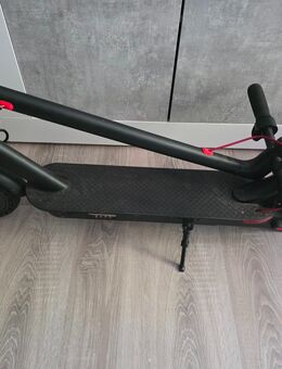 E-Scooter /Elektro Roller - Königs Wusterhausen