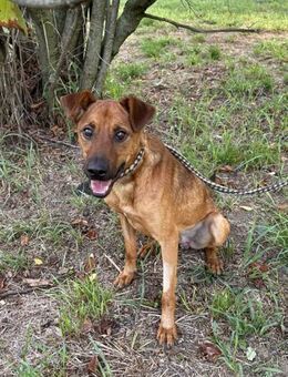 CHRiSTOFFER - aktiv und aufgeweckt - Overath