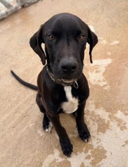 Petrina sucht das Glück - Bergkirchen