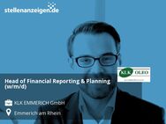 Head of Financial Reporting & Planning (w/m/d) - Emmerich (Rhein)