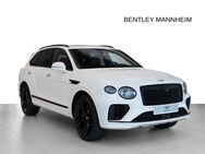 Bentley Bentayga, V8 Vollleder, Jahr 2022 - Mannheim