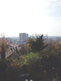Dachgeschosswohnung mit unverbaubaren Blick über ganz Regensburg. Bezugsfertig! - Regensburg